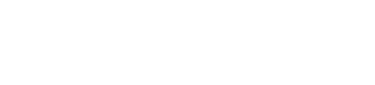 ng-logo